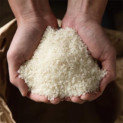 【通常品】 ふるさと納税 南魚沼市 【2024年4月下旬発送】6年連続金賞南魚沼産コシヒカリ30kg(5kg×6個)農薬化学肥料不使用 【UOI3180253860】(115920円)