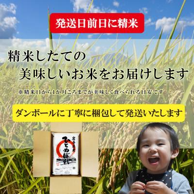 ふるさと納税 盛岡市 無洗米お米マイスター推奨盛岡市産20kg ふるさと納税 盛岡市 お米マイスター推奨盛岡市産20kg
