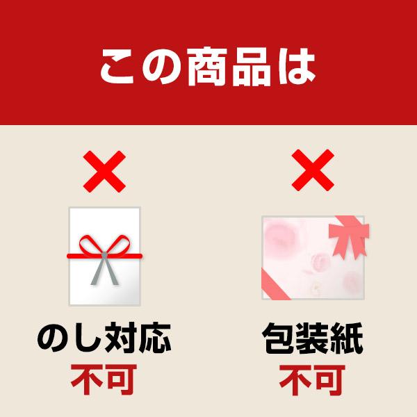 HaL 倉敷産帆布×姫路レザー ベーシックトート&サコッシュ テラコッタ