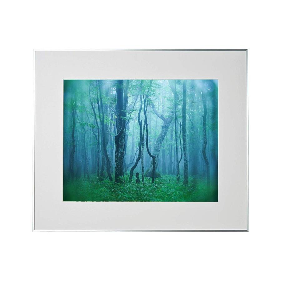 アルミ額縁 ギャラリー 全紙 シルバー AGY-Z-SV ケンコー・トキナー 受