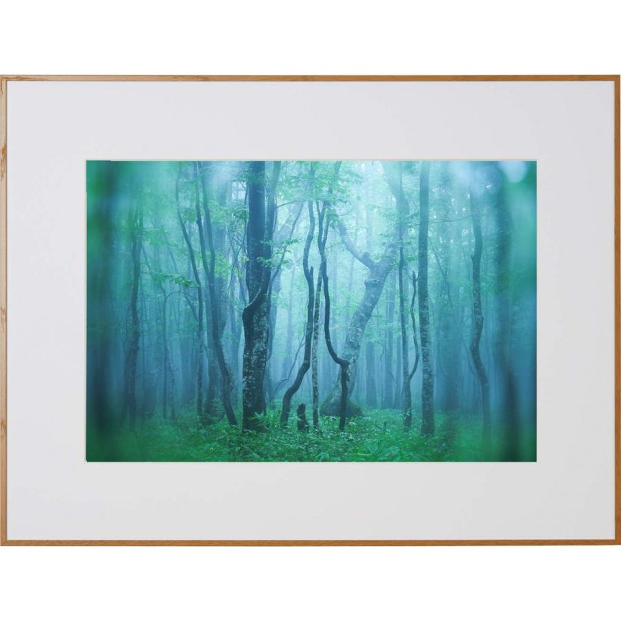 ラスト値下げしました 写真用/絵など DNPアルミ額縁A3ノビ ラスト