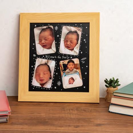 ナカバヤシ アルバム台紙をそのまま飾れる アルバム台紙フレーム 台紙L