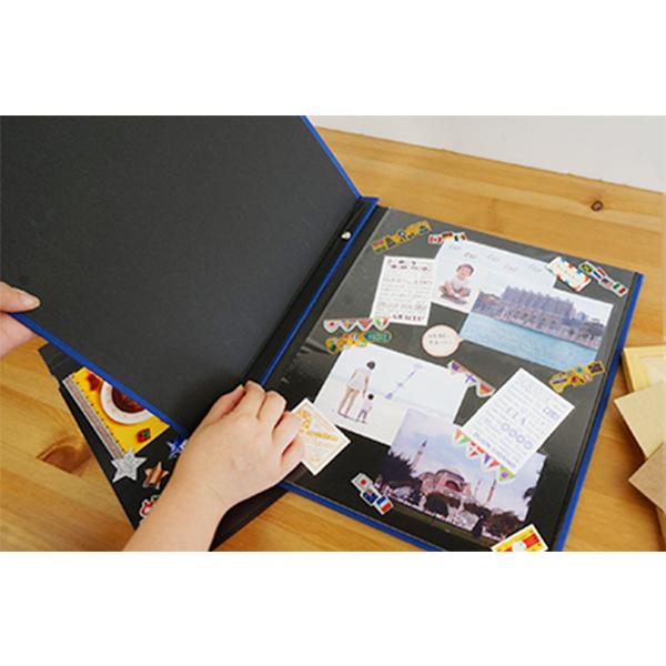 ナカバヤシ アルバム台紙をそのまま飾れる アルバム台紙フレーム 台紙L