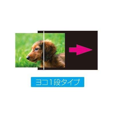 フォトストッカー 2L判 60枚収納 ヨコ1段 ポケット DGPC61 Digio