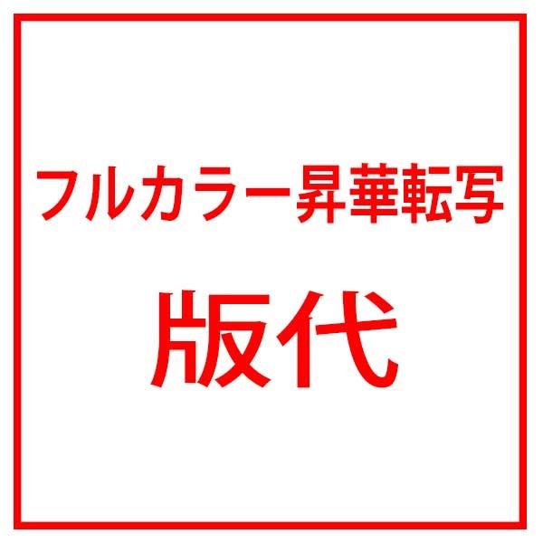 フルカラー昇華転写 版代（RCP）（02P06May15）