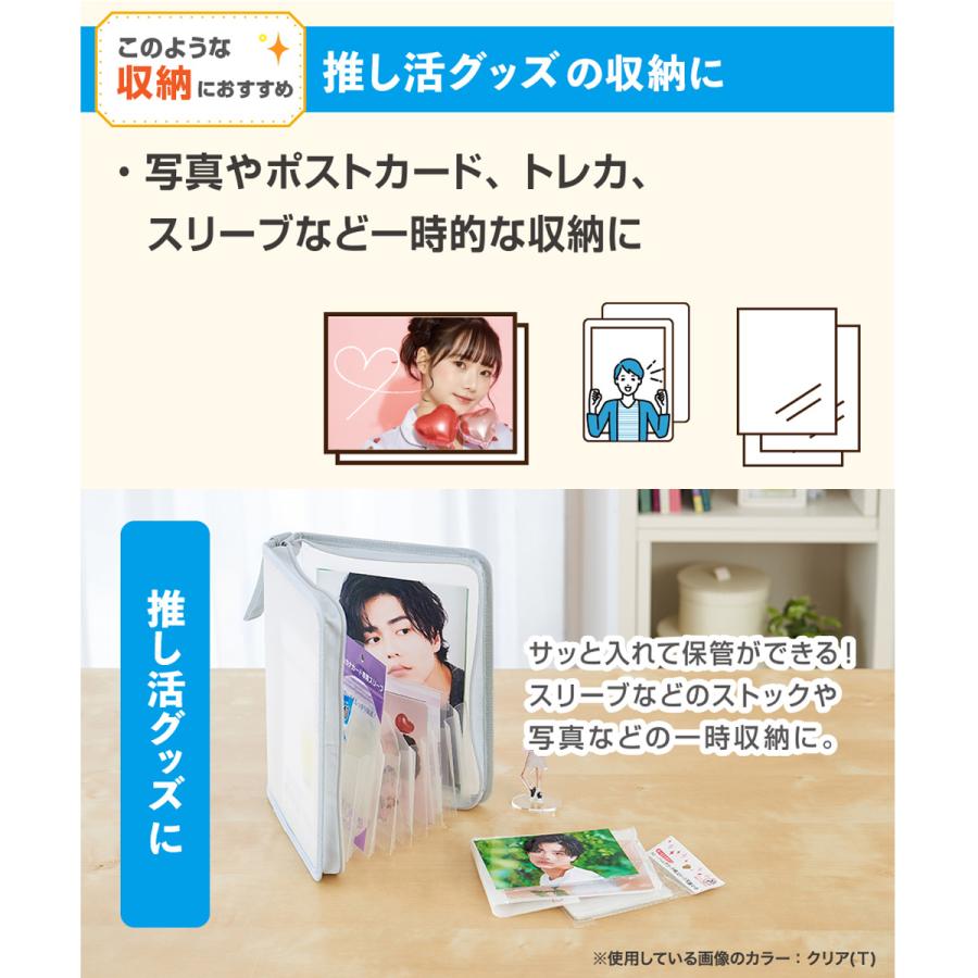 SEPAL おかたづけファイル A5 ライトグレー クリア SEL-2800 セキセイ