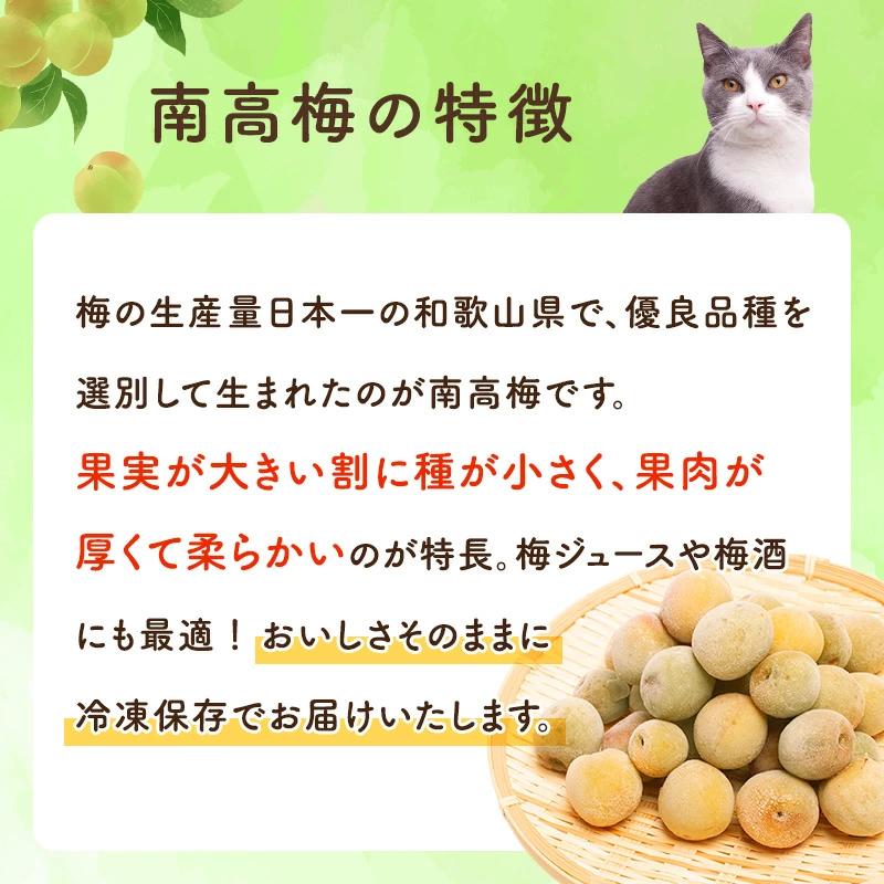 訳あり 紀州 南高梅 冷凍梅 0.5kg ／ 送料無料 和歌山産 産直 冷凍