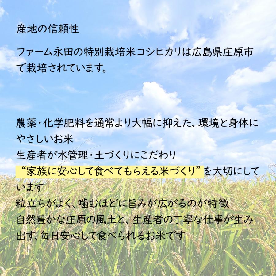 米穀店 食の健康社 米 10kg (5kg×2) 白米 令和7年産 広島県産 ファーム