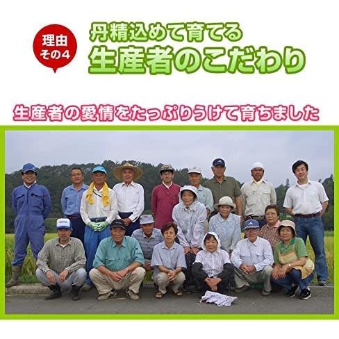 米 10kg (5kg×2) 玄米 令和7年産 広島県産 ファーム永田のコシヒカリ 分搗き200円 安心栽培 送料無料（※北海道・沖縄・離島を除く）お米 爆買_5