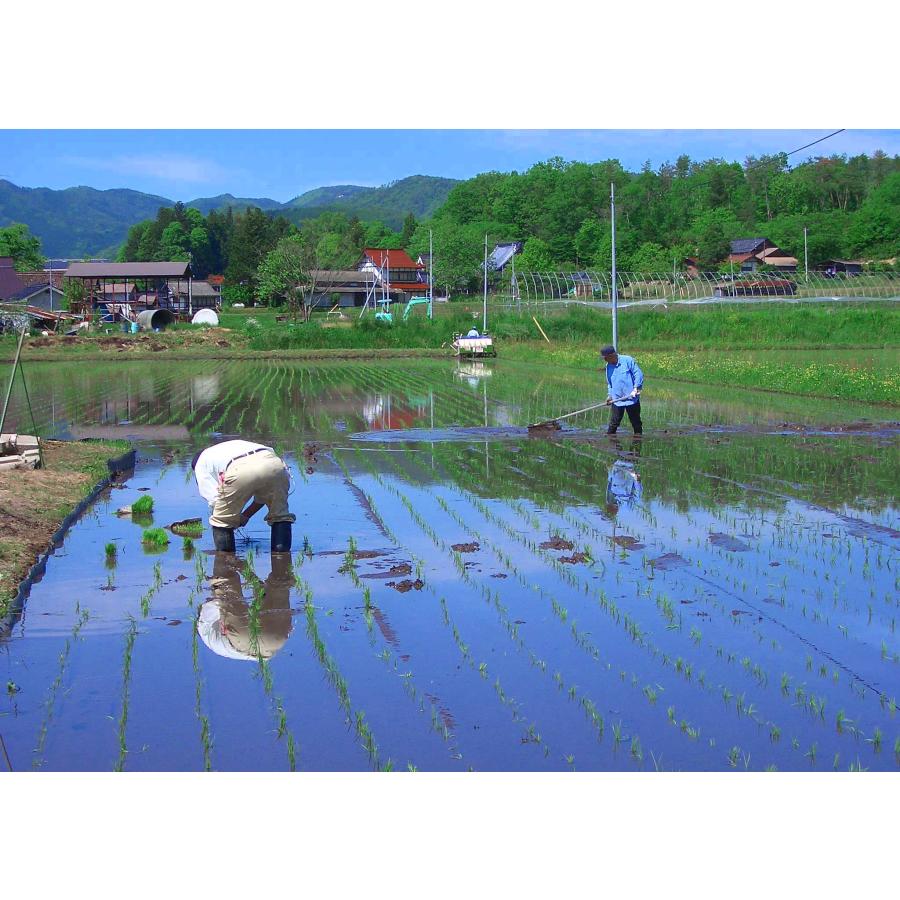 米穀店 食の健康社 米 10kg (5kg×2) 玄米 令和7年産 広島県産 ファーム