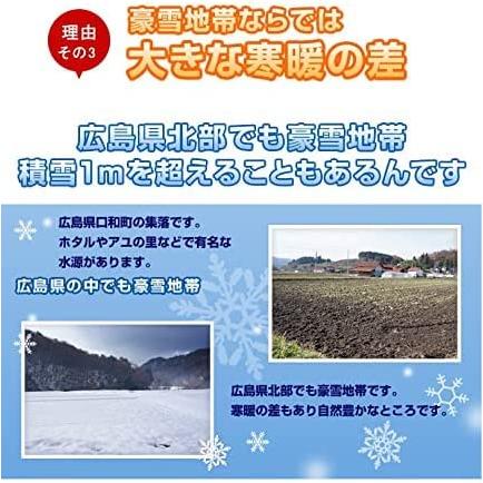 広島県産 ファーム永田の特別栽培 コシヒカリ 玄米 10kg(5kg×2) 分搗き無料 令和5年産 送料無料 （※北海道・沖縄・離島を除く）お米 米｜y-shokuken｜06