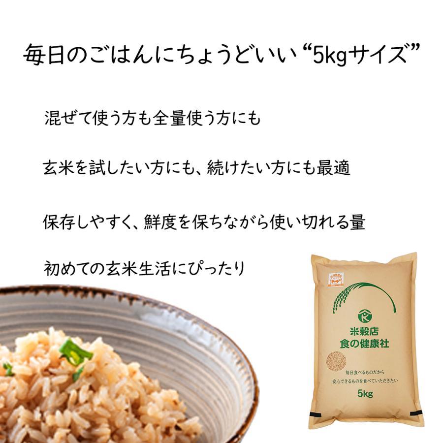 米穀店 食の健康社 米 10kg (5kg×2) 玄米 令和7年産 広島県産 ファーム 