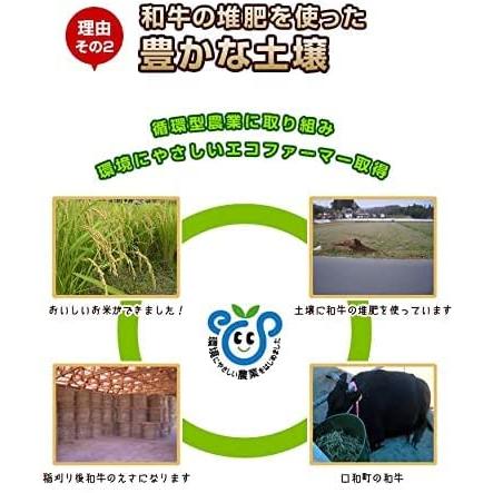 米穀店 食の健康社 広島県産 ファーム永田のミルキークイーン 米穀店 食の健康社 広島県産 ファーム永田のミルキークイーン