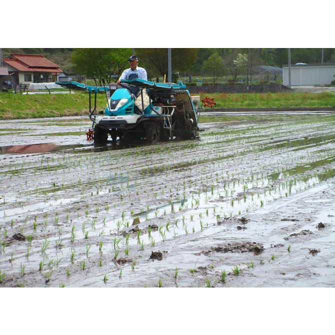 米穀店 食の健康社 【 数量限定 】広島県産 あきさかり 玄米 米穀店 食の健康社 【 数量限定 】広島県産 あきさかり 玄米