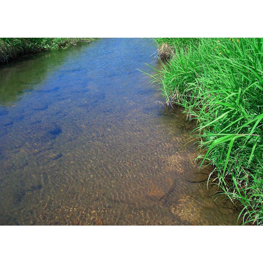 米穀店 食の健康社 【 数量限定 】広島県産 あきさかり 玄米 米穀店 食の健康社 【 数量限定 】広島県産 あきさかり 玄米