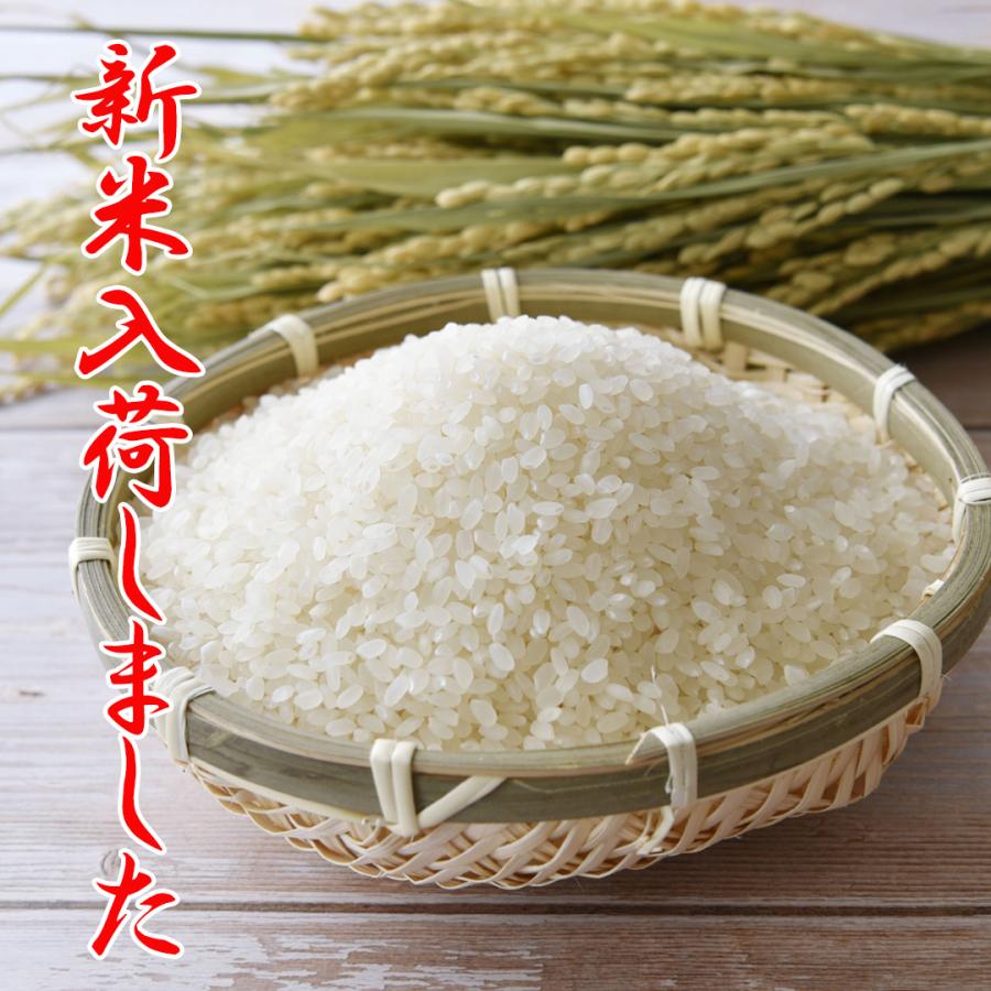 米穀店 食の健康社 【 数量限定 】玄米 鹿児島県産 コシヒカリ 米穀店 食の健康社 【 数量限定 】玄米 鹿児島県産 コシヒカリ