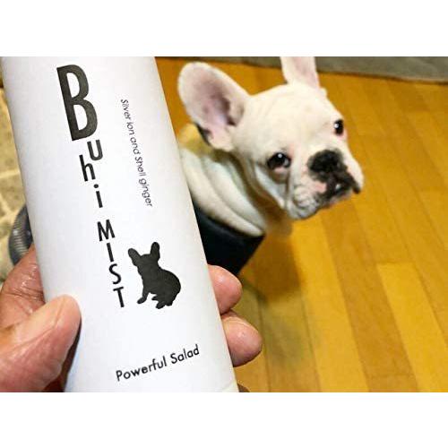 Buhi MIST 300ml／月桃成分配合 銀イオン水溶液 (Ag+ 10ppm) (1本) | 