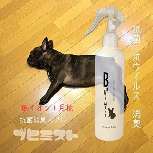Buhi MIST 300ml／月桃成分配合 銀イオン水溶液 (Ag+ 10ppm) (1本) |  | 03