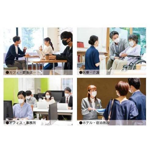 （SDK-COPラベル）アルピニアエージーミスト 持ち運びに便利な小ボトルタイプ 50ml ／月桃成分配合 銀イオン水溶液 (Ag+ 10ppm) |  | 05