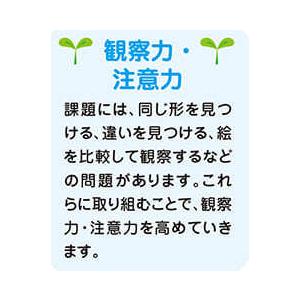 幼児 ドリル 七田式 知力ドリル 2歳 3歳 ちえ やってみよう 子供 幼児 知育 教育 勉強 学習 右脳 左脳 幼稚園 小学校 入園 入学 お祝い プレゼント 準備｜y-silverback｜09