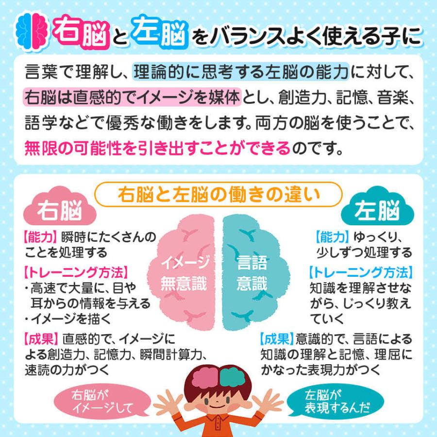 七田式・知力ドリル 5歳 6歳 7冊セット プリント 子供 幼児 知育 教育 勉強 学習 右脳 左脳 幼稚園 小学校 お祝い プレゼント 準備｜y-silverback｜11