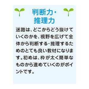 七田式・知力ドリル 2歳,3歳 めいろ プリント 子供 幼児 知育 教育
