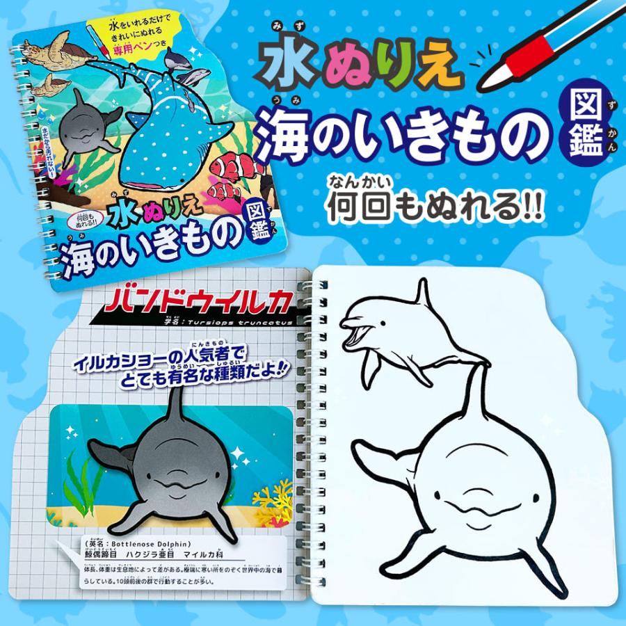 水ぬりえ 海のいきもの図鑑 ぬりえ 水塗り絵 汚れない お絵かき 知育