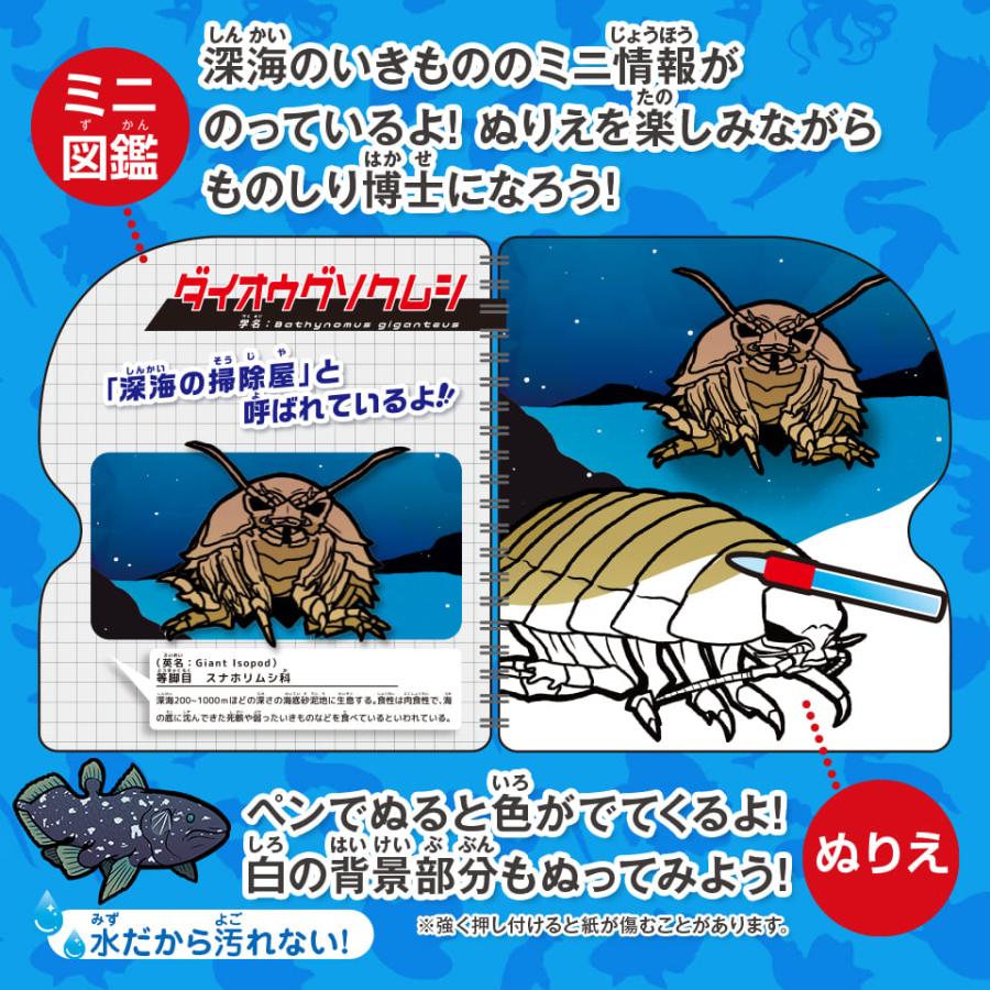 水ぬりえ 深海のいきもの図鑑 ぬりえ 水塗り絵 汚れない お絵かき 知育