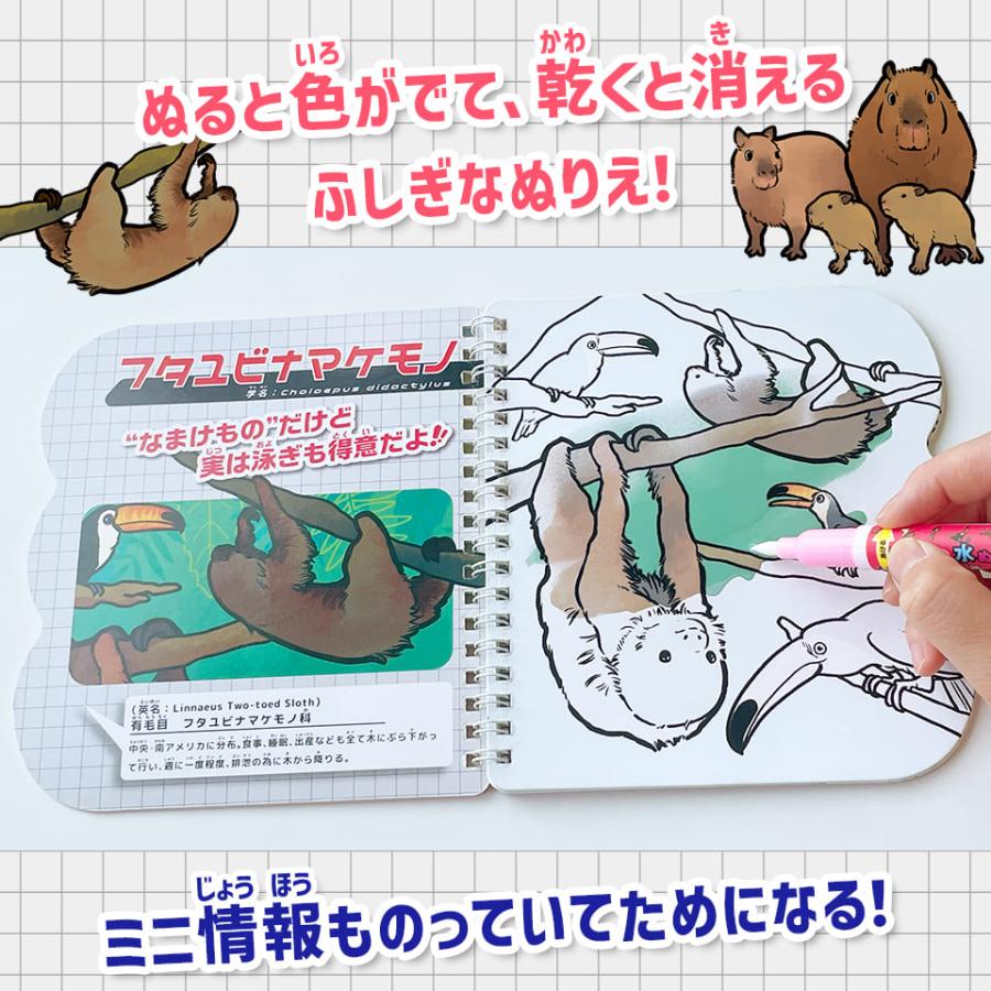 水ぬりえ モフカワどうぶつ図鑑 ぬりえ 水塗り絵 汚れない お絵かき