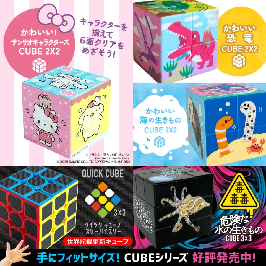 サンリオ② かわいい サンリオキャラクターズ CUBE 2X2(キューブ