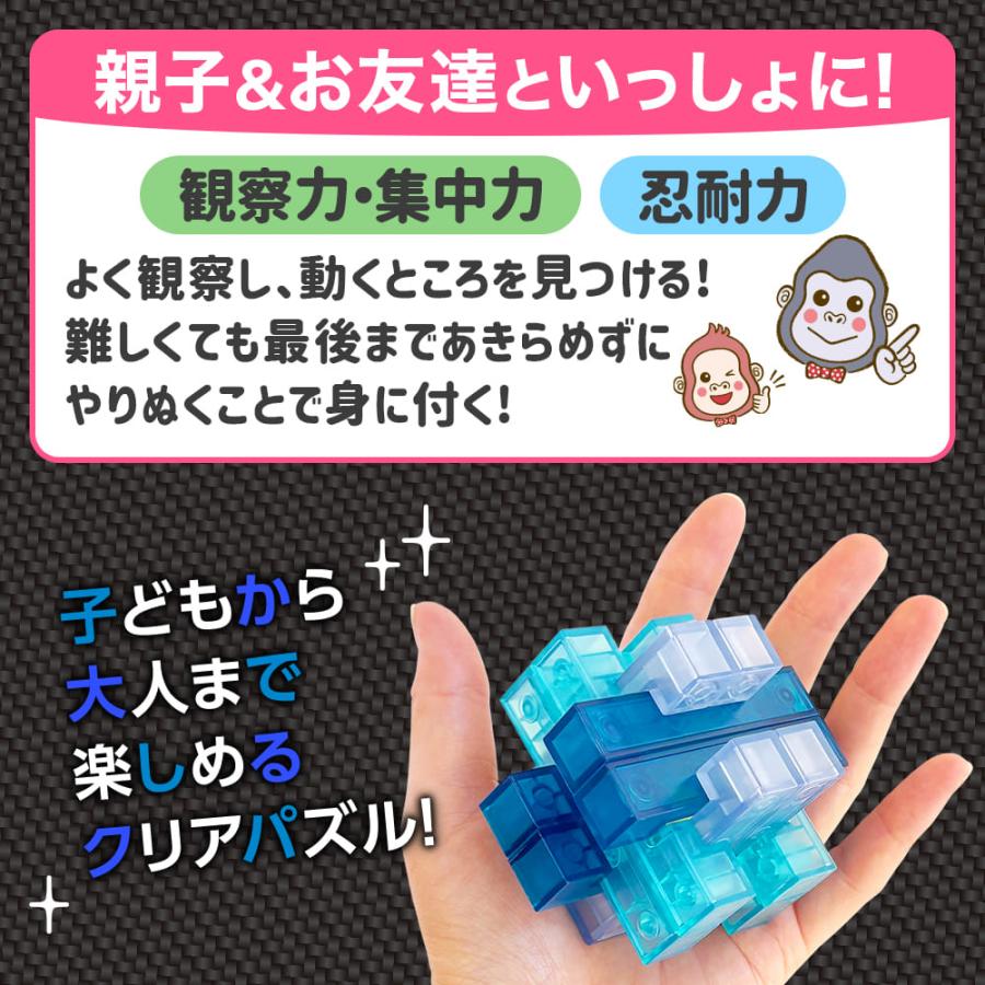 BLUE BERG（ブルーバーグ）【KUMIPULA2】知育玩具のシルバーバック 6歳