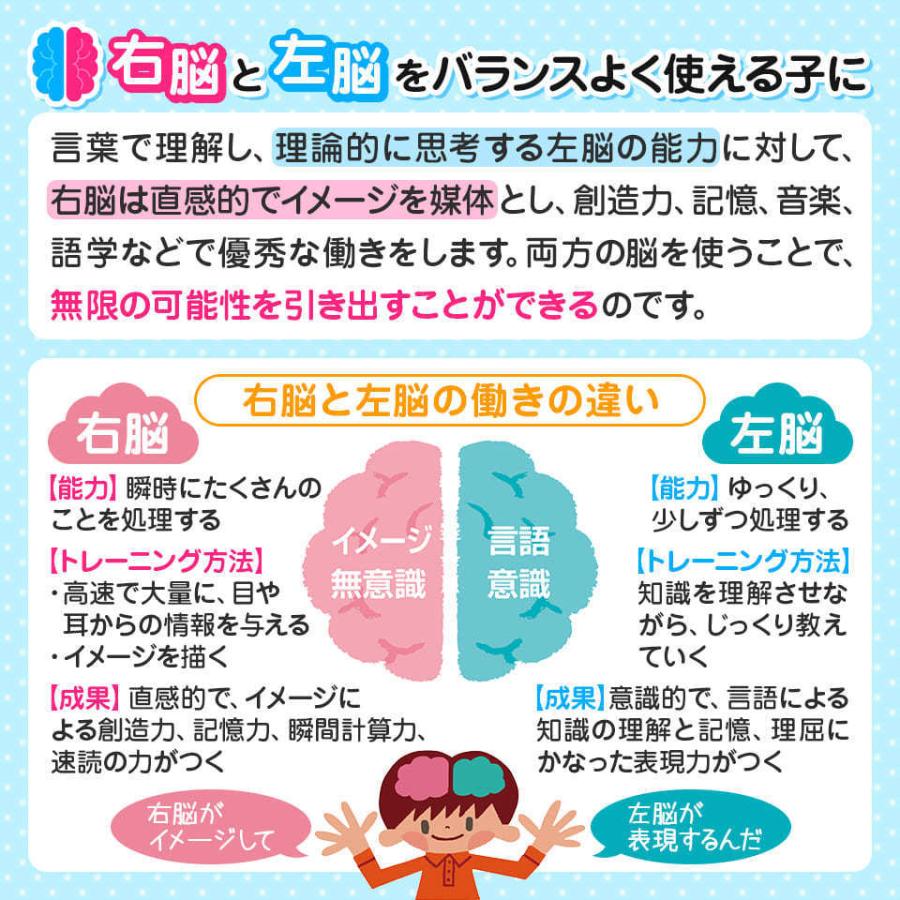 七田式知力ドリル4歳,5歳,6歳 6冊セット 子供 幼児 知育 教育 勉強