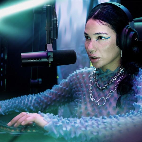 SHURE(シュア) ボーカル用ダイナミックマイクロホン＜プリアンプ内蔵＞   SM7dB | SHURE | 05