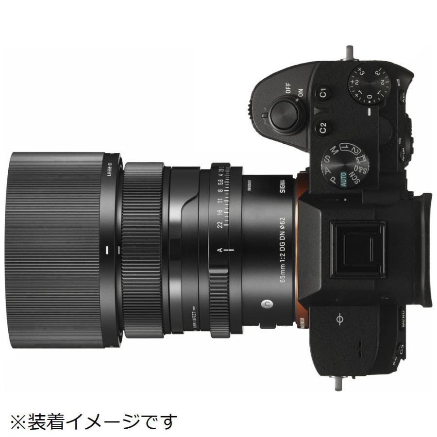 sigma 65mm f2 αEマウント Amazon.com : Sigma 65mm F2.0 DG DN for Sony E Mount