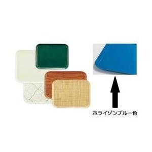 キャンブロ社 キャンブロ カムトレー（FRP） ホライゾンブルー 270×349mm ＜EKM011HB＞ | 