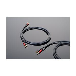 トランスペアレンツ スピーカーケーブル　2.4m   HWSC8 | 