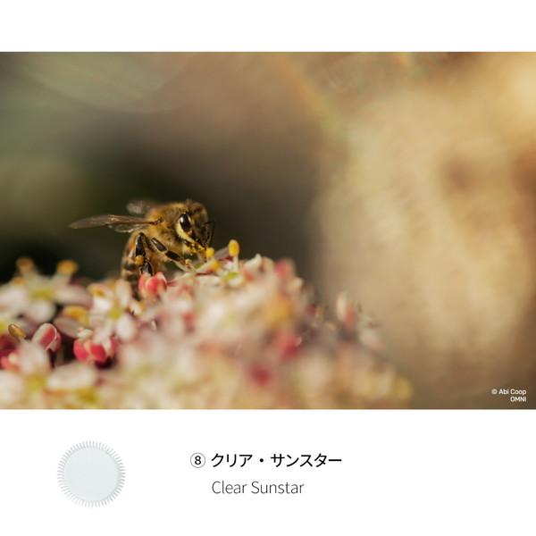 レンズベビー Lensbaby OMNI ユニバーサルエクスパンションパック・ウィズ・シェイプス｜y-sofmap｜11