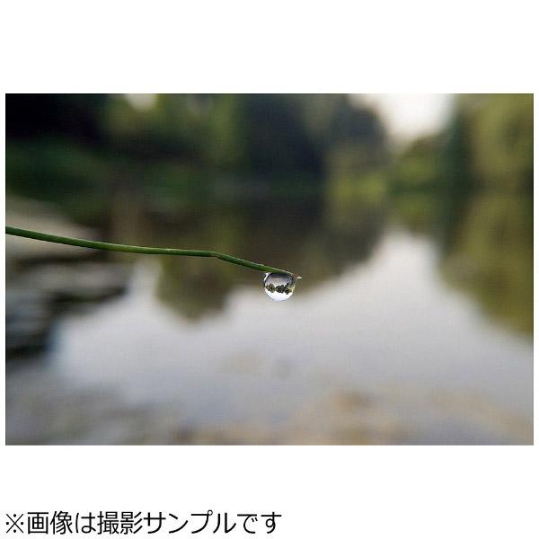 BEASTGRIP ビーストグリップ フィッシュアイレンズ　BG-FEYEM [振込不可] |  | 06