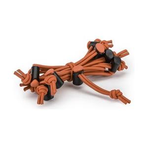 シンクタンクフォト レッドウィップス レッド | シンクタンクフォト