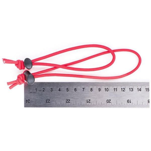 シンクタンクフォト レッドウィップス レッド | シンクタンクフォト | 03