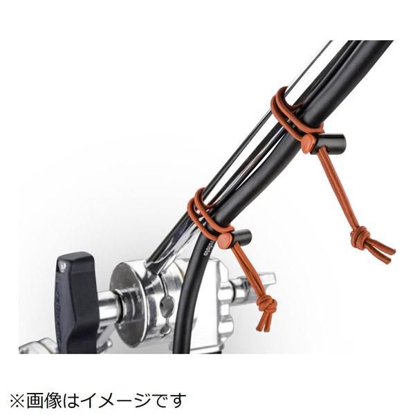 シンクタンクフォト レッドウィップス レッド | シンクタンクフォト | 08