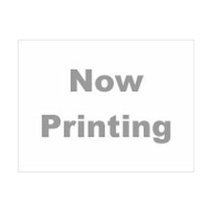 〔中古〕その他  Vemico G4-2B GoPro Hero9 バッテリー充電器セット | 