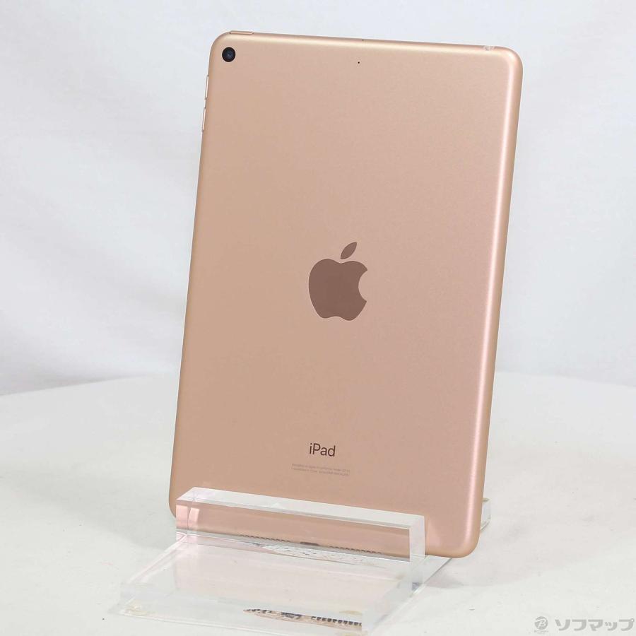 Apple 〔中古〕Apple(アップル) iPad mini 第5世代 64GB