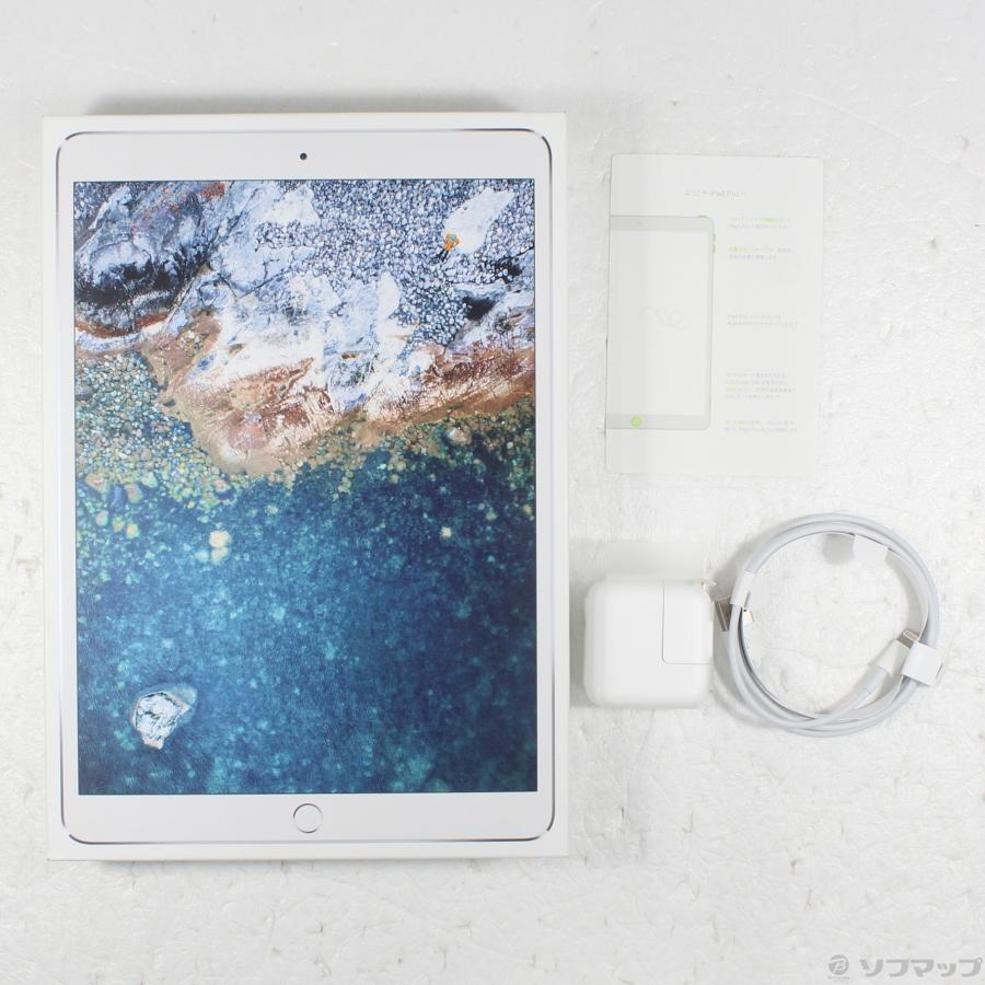 Apple 〔中古〕Apple(アップル) iPad Pro 10.5インチ 256GB シルバー