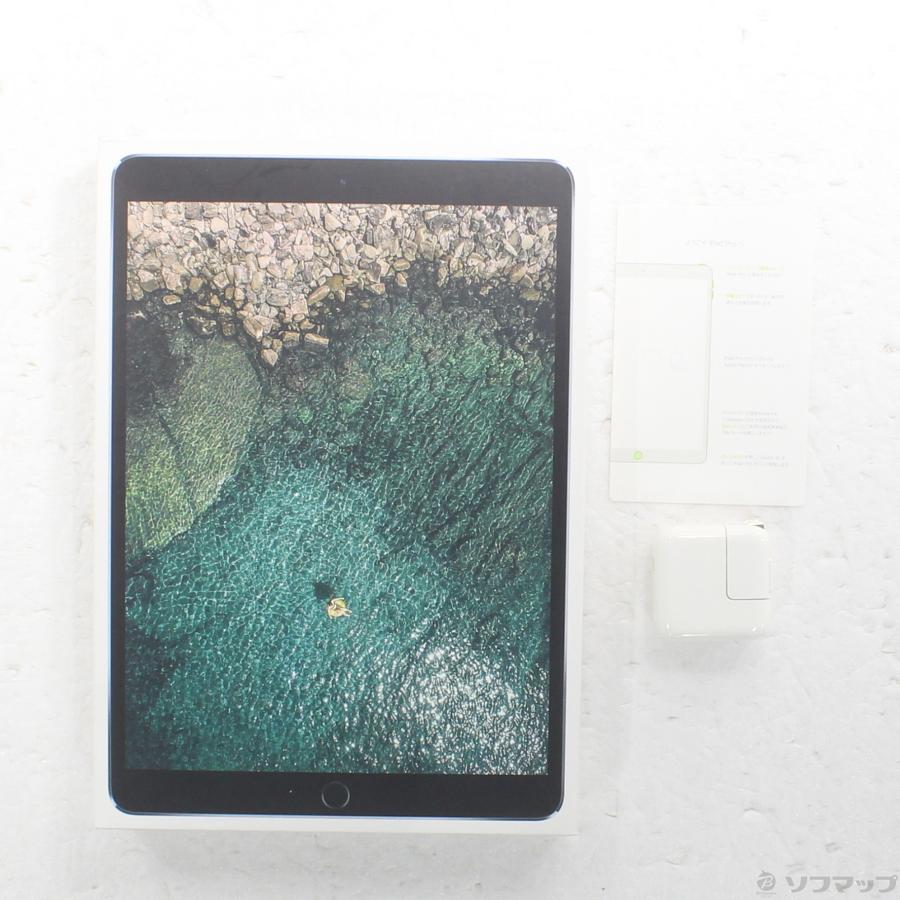 〔中古〕Apple(アップル)  iPad Pro 10.5インチ 256GB スペースグレイ MPHG2J／A docomoロック解除SIMフリー | Apple | 05