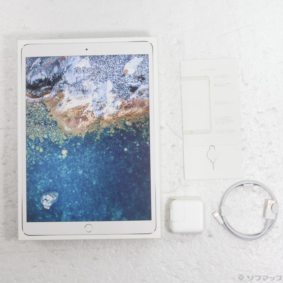 〔中古〕Apple(アップル)  iPad Pro 10.5インチ 256GB シルバー MPHH2J／A auロック解除SIMフリー | Apple | 05