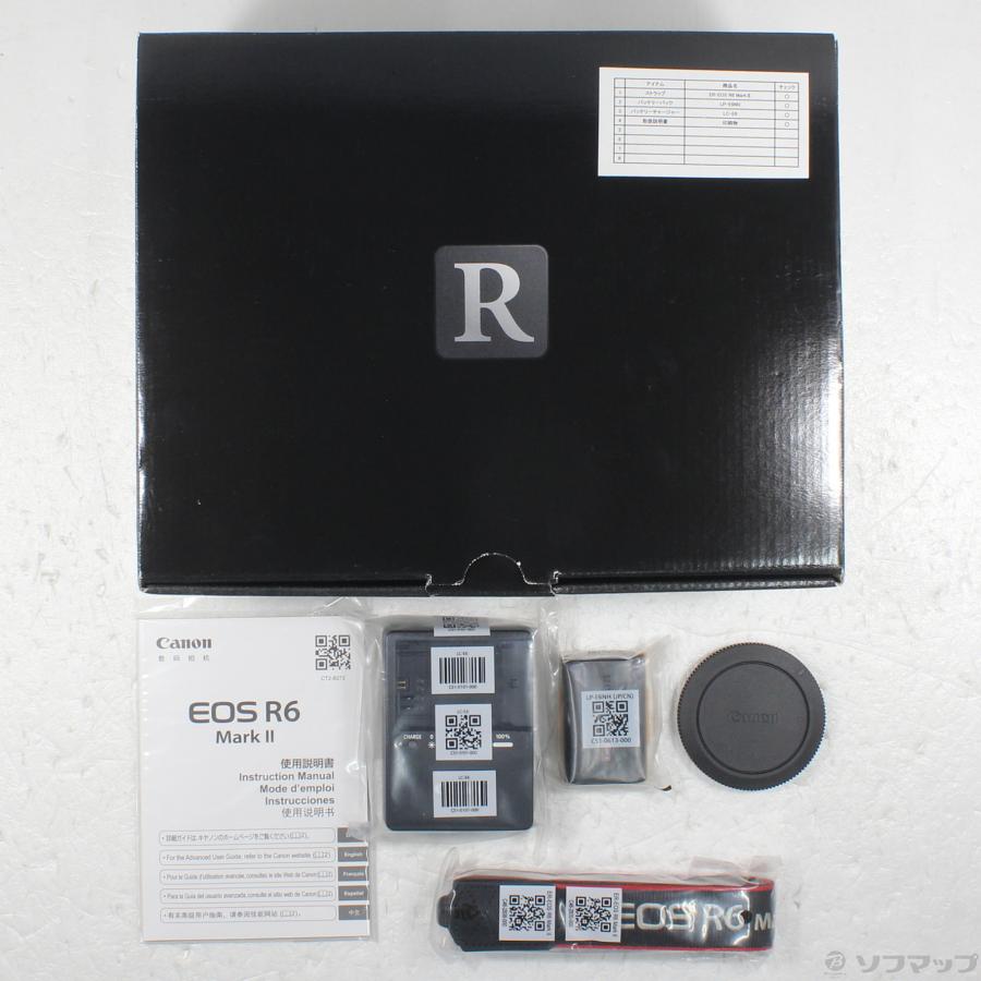 〔中古〕Canon(キヤノン)  EOS R6 Mark II ボディ | キヤノン | 06