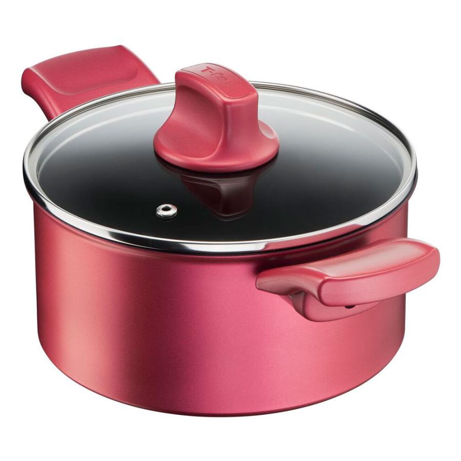 T-FAL IHルージュ・アンリミテッドシチューポット   G26244 | T-fal | 03