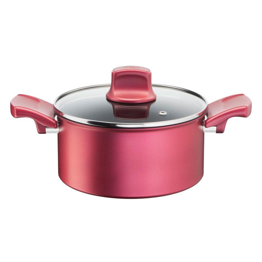 T-FAL IHルージュ・アンリミテッドシチューポット   G26244 | T-fal | 04