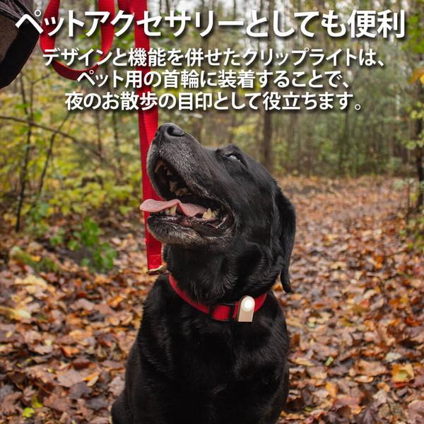 LEXON LUCIE ウェアラブルLEDクリップ 点灯または点滅 耐雨性IPX4 約1.5メートルまで視認可能 最大点灯可能時間： 最大12時間  レッド LL121R ［防水対応］ |  | 04